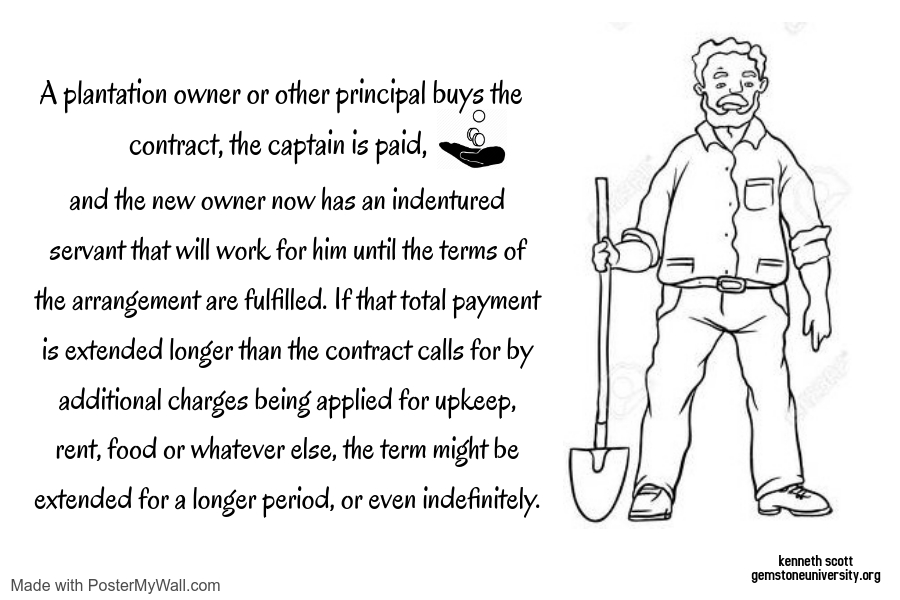 Random Image Display