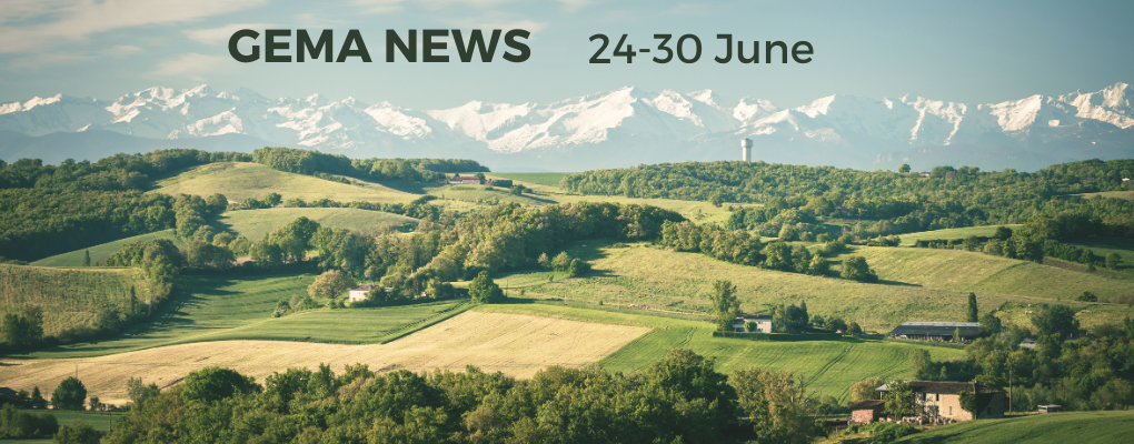 GEMA NEWS (3)